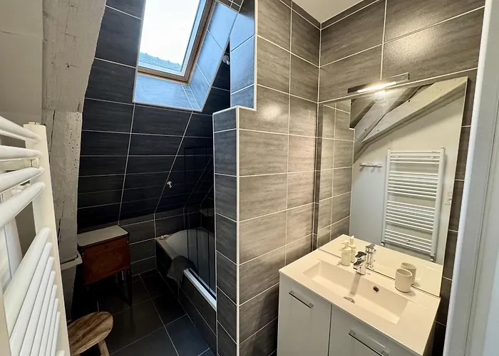 Le Refuge De - Sejour Cosy En Hypercentre Apartment Troyes